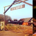 JA Ranch