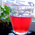 Vinbärsaft