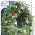 Snökransar, enkransar och andra vackra kransar