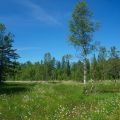 Kaljoxadalen