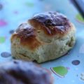 Semmelbullar