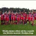 Sommarmuffins
