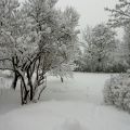 Vinterbilder