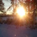 Lördag i bilder