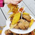 Authentic Foods Chocolate chunk cookie mix