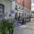 Lite kalas, en tripp till Stockholm och massor[...]