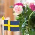 Mitt födelsedagsfirande i bilder
