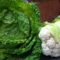 Snabb blomkålssoppa med citrongräs - Serien[...]