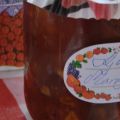Kjerstis hemgjorda mangochutney
