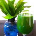 Nässelsmoothie