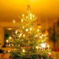 It´s Christmas time!