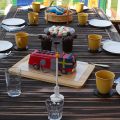 5-årskalas för släkten