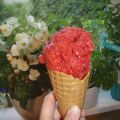 Hallonsorbet