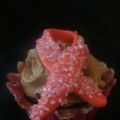 Rosa Bandet Cupcakes & Mini Tårta