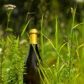 Vincent Carême Vouvray Le Peu Morier 2012..