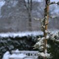 Vinter i Skåne