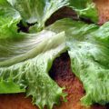 Kycklingrulle à la LCHF
