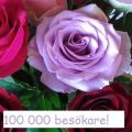 Mammas rårörda jordgubbssaft