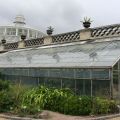 Resa till Köpenhamn - Botanisk Have