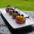 Chokladmöss