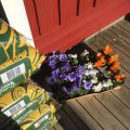 Blommor och blad