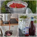 Saft på röda vinbär