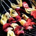 Grillspett med rödlök och fänkål