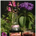 Sommardrink