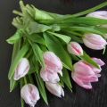 Tulpanens dag & restaurangtips med godaste[...]