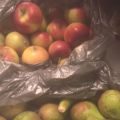 Päronkompott/Päronmarmelad med kardemumma och[...]
