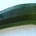Soppa på squash och blomkål- snabbt, enkelt och[...]