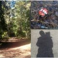 Frostig solpromenad