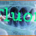 Fluor - rena rama giftet
