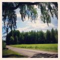 Glad midsommar!