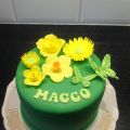 Maggo