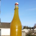 Hälsoshot med citron, ingefära, honung och[...]