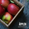 Kanderade äpplen.