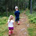 Skogen