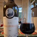 Veckans vintips: Emilio Moro Malleolus 2023