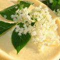Flädercheesecake