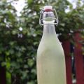 Saft av svartvinbärsblad