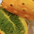 Cucumis metuliferus