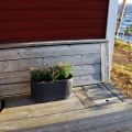 Midsommarafton med L-U-S