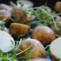 Potatis i ugn med timjan