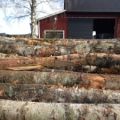Butiken på åsen