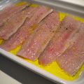Grillade fiskfiléer
