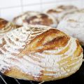 Här köper du de bästa surdegsbröden