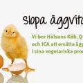 Vill du slippa ägg i maten?