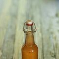 Syrensaft och Citronsyra