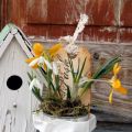 Blommor i påse